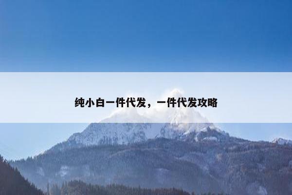 纯小白一件代发，一件代发攻略