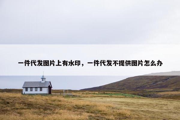 一件代发图片上有水印，一件代发不提供图片怎么办
