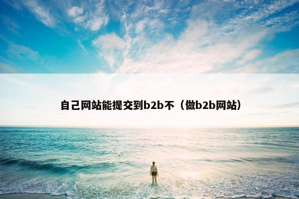 自己网站能提交到b2b不（做b2b网站）