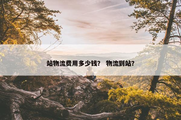 站物流费用多少钱？ 物流到站？