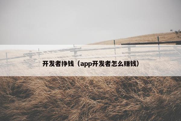 开发者挣钱（app开发者怎么赚钱）