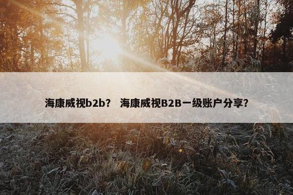 海康威视b2b？ 海康威视B2B一级账户分享？
