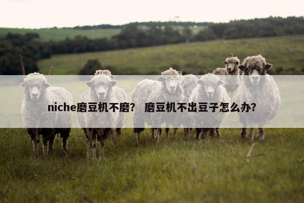 niche磨豆机不磨？ 磨豆机不出豆子怎么办？