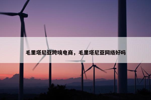 毛里塔尼亚跨境电商，毛里塔尼亚网络好吗