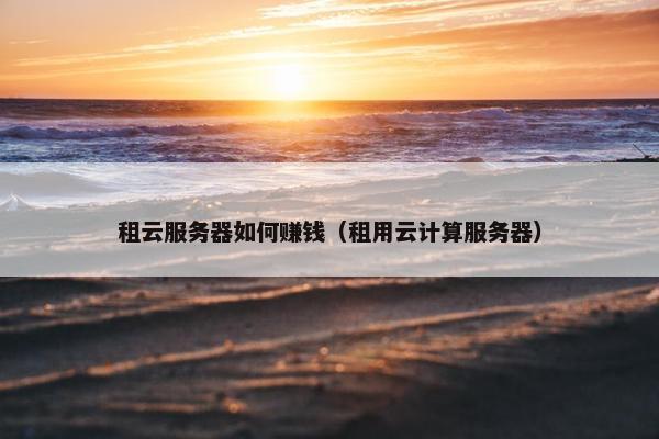 租云服务器如何赚钱（租用云计算服务器）