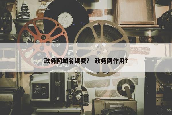 政务网域名续费？ 政务网作用？
