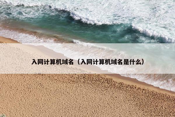入网计算机域名（入网计算机域名是什么）