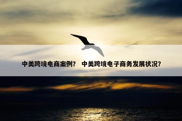 中美跨境电商案例？ 中美跨境电子商务发展状况？