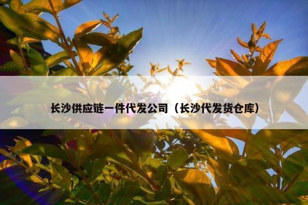 长沙供应链一件代发公司（长沙代发货仓库）