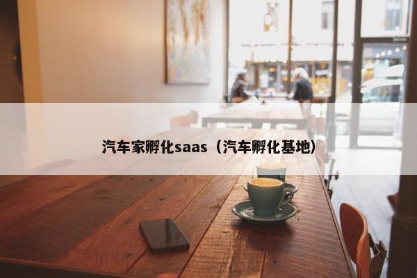 汽车家孵化saas（汽车孵化基地）