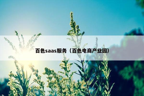百色saas服务（百色电商产业园）