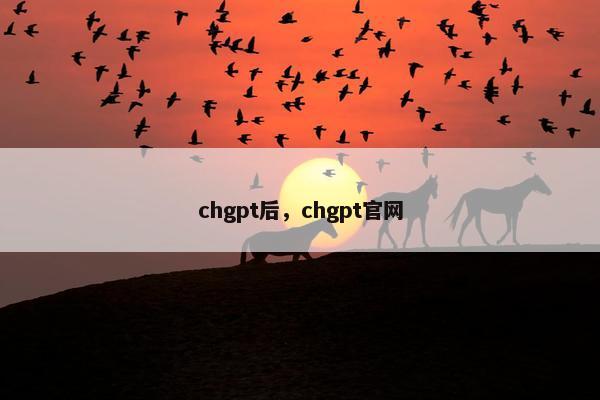 chgpt后，chgpt官网