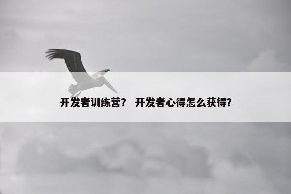 开发者训练营？ 开发者心得怎么获得？