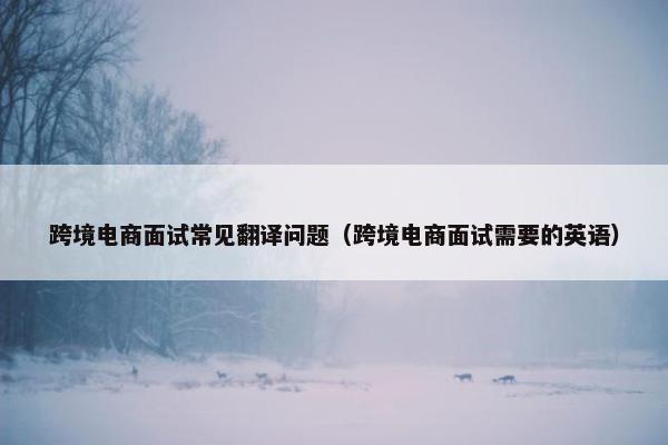 跨境电商面试常见翻译问题（跨境电商面试需要的英语）