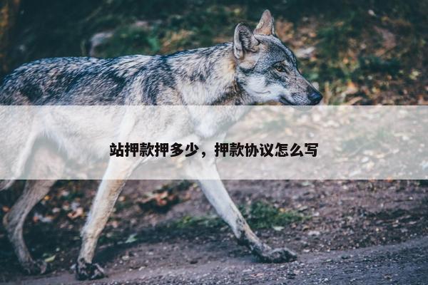 站押款押多少，押款协议怎么写