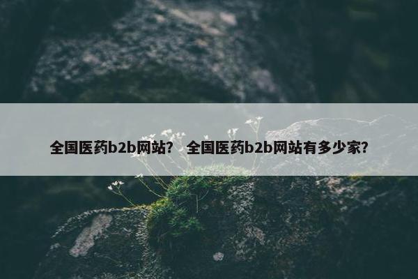 全国医药b2b网站？ 全国医药b2b网站有多少家？
