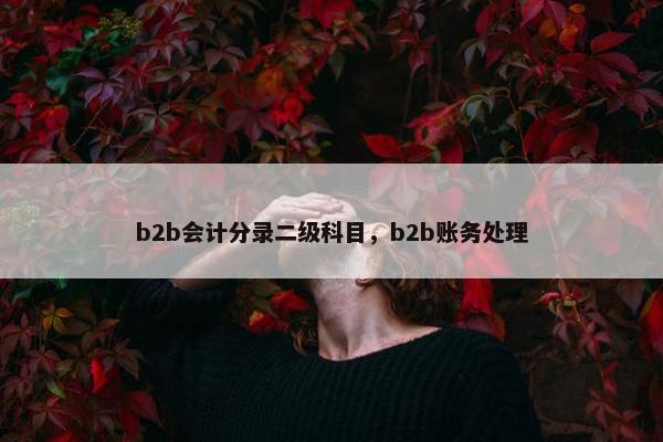 b2b会计分录二级科目，b2b账务处理