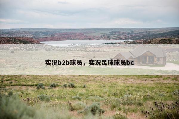 实况b2b球员，实况足球球员bc