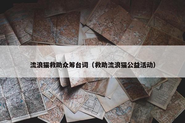 流浪猫救助众筹台词（救助流浪猫公益活动）