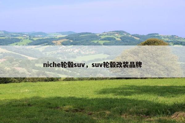 niche轮毂suv，suv轮毂改装品牌