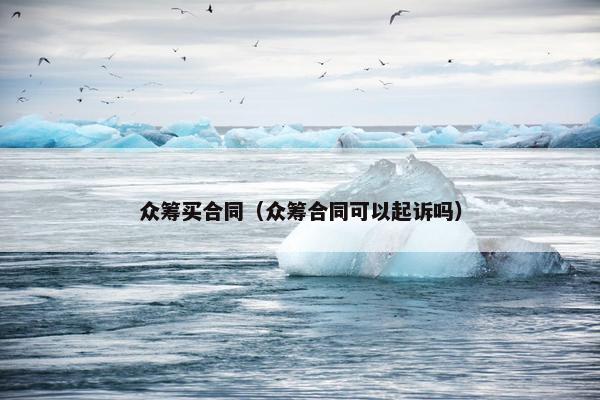 众筹买合同（众筹合同可以起诉吗）