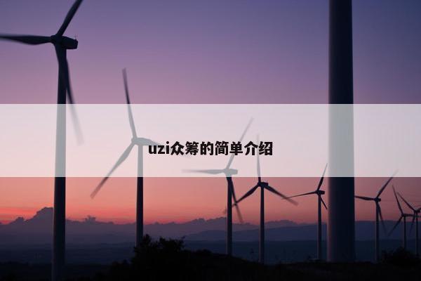 uzi众筹的简单介绍