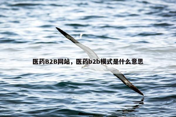 医药B2B网站，医药b2b模式是什么意思