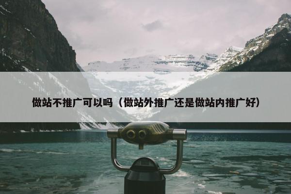 做站不推广可以吗（做站外推广还是做站内推广好）