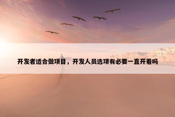 开发者适合做项目，开发人员选项有必要一直开着吗