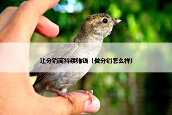 让分销商持续赚钱（做分销怎么样）