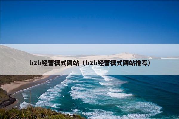 b2b经营模式网站（b2b经营模式网站推荐）