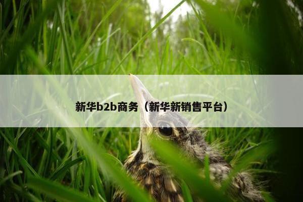 新华b2b商务（新华新销售平台）