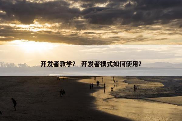开发者教学？ 开发者模式如何使用？