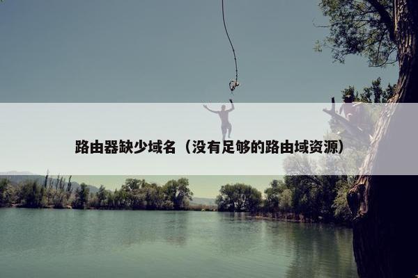 路由器缺少域名（没有足够的路由域资源）