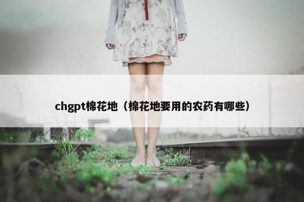 chgpt棉花地（棉花地要用的农药有哪些）