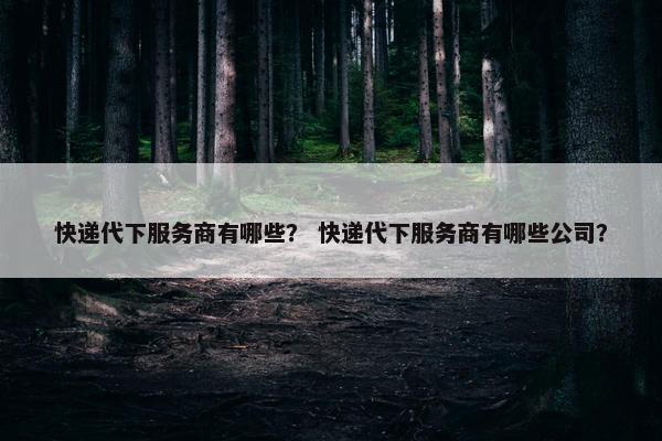 快递代下服务商有哪些？ 快递代下服务商有哪些公司？