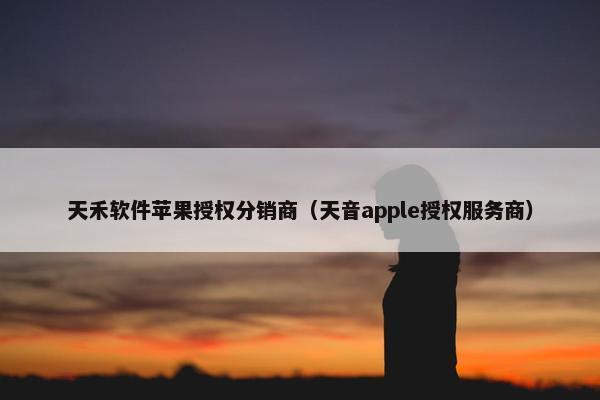 天禾软件苹果授权分销商（天音apple授权服务商）