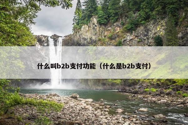 什么叫b2b支付功能（什么是b2b支付）