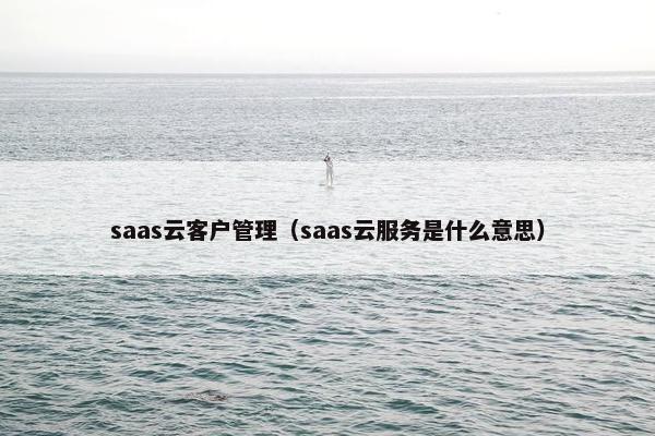 saas云客户管理（saas云服务是什么意思）