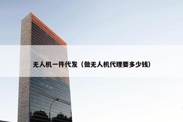 无人机一件代发（做无人机代理要多少钱）
