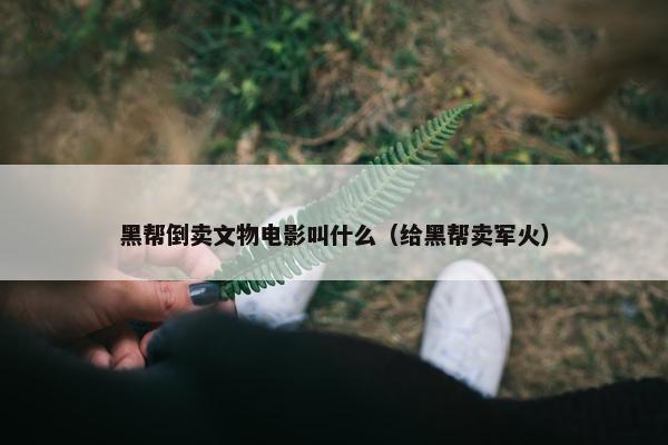 黑帮倒卖文物电影叫什么（给黑帮卖军火）