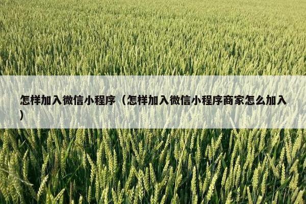 怎样加入微信小程序（怎样加入微信小程序商家怎么加入）