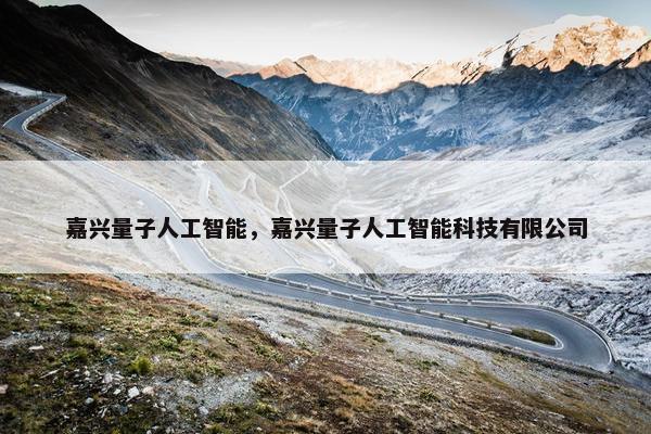 嘉兴量子人工智能，嘉兴量子人工智能科技有限公司