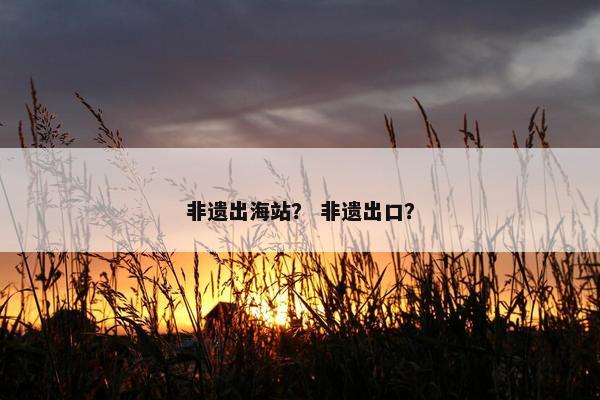 非遗出海站？ 非遗出口？