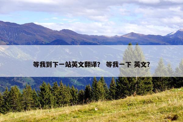 等我到下一站英文翻译？ 等我一下 英文？