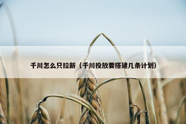 千川怎么只拉新（千川投放要搭建几条计划）