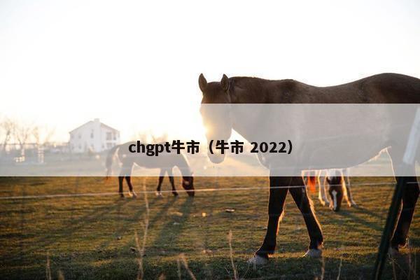 chgpt牛市（牛市 2022）