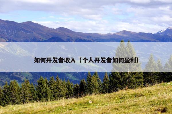 如何开发者收入（个人开发者如何盈利）