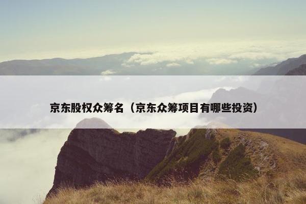 京东股权众筹名（京东众筹项目有哪些投资）