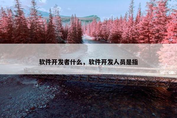 软件开发者什么，软件开发人员是指